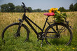 Fahrrad mit Sonnenblumen