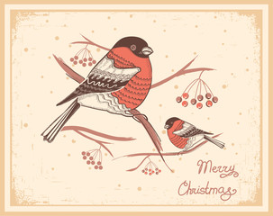 Wall Mural - Christmas vintage card with bullfinches and snow