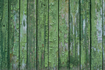 Poster - old background with green paint