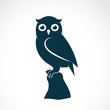 Vector of an owl on white background. Bird. Animals.