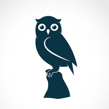 Vector Of An Owl On White Background. Bird. Animals.