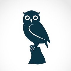 vector of an owl on white background. bird. animals.