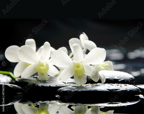 martwa-natura-z-kamykiem-i-kwiatem-orchidei