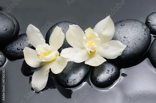 Naklejka - mata magnetyczna na lodówkę Two white orchid flowers with therapy stones 