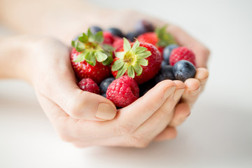 Wall Mural - close up of woman hands holding berries