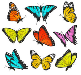 Wall Mural - Set of colorful butterflies illustration