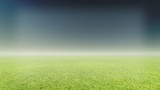 Fototapeta Sport - grass and fog background
