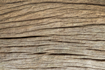 Wood texture with natural patterns. background old panels