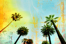 California Beach Art Palm Trees Background