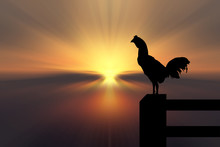 Chicken Silhouette Sunrise Background