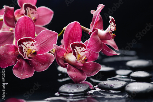 Fototapeta na wymiar Beautiful orchid with therapy stones 