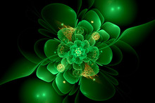 Green  Fractal Flower On Dark Background