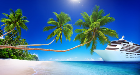 Canvas Print - Cruise Ship Beach Sea Palm Tree Concept