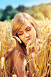 © nmelnychuk - Young beautiful woman in golden wheat field
