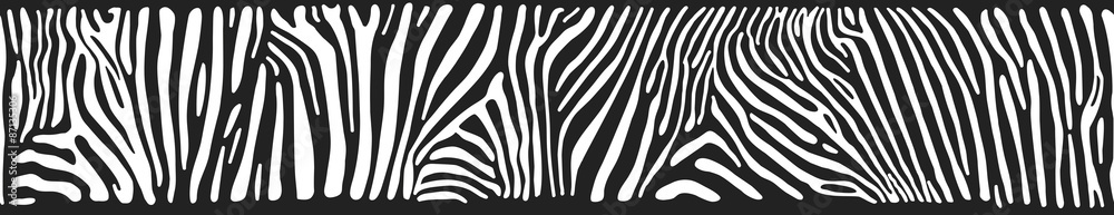 Vector background with zebra skin - obrazy, fototapety, plakaty 
