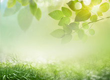 Abstract Spring Background 23