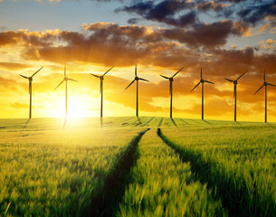 Wall Mural - Sunset over wheat fields with wind turbines