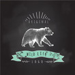 Vintage label bear. Design for T-Shirt. Нanmade illustration ve