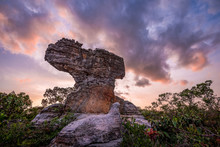 Shape Of Rock In The Pa Hin Ngam National Park At Sunset