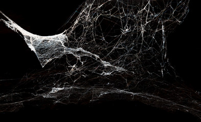 abstract spiderweb on black background