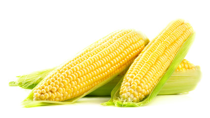 Wall Mural - Fresh ripe corn