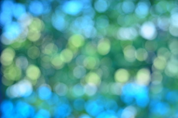 Wall Mural - bokeh,background,wall,green,abstract,design,blurred,color,soft,texture