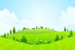 Leinwandbild Motiv Green Background with Grass Trees Flowers and Hills