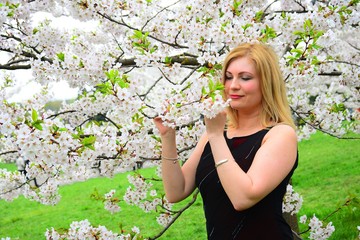 Beautiful female posing in the sakura garden