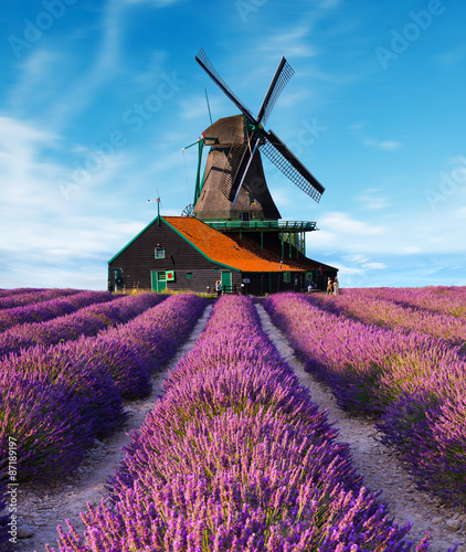 Naklejka na drzwi lavender fields with windmill