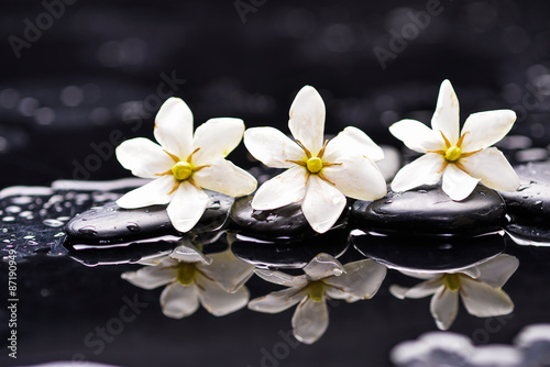 Fototapeta na wymiar Trzy białe kwiaty gardenii na kamieniach w wodzie