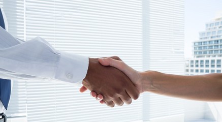Poster - Close up view of two business people shaking hands