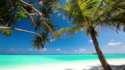 Wall Mural - palm trees over tropical lagoon with white beach