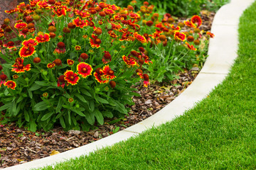 Wall Mural - Garden