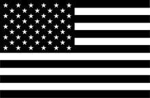 American Flag In Black And White