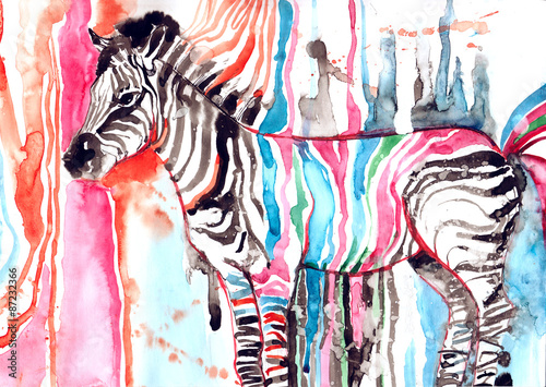 kolorowa-zebra