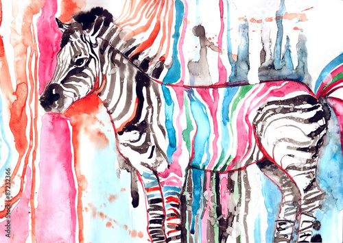 Fototapeta na wymiar Pastelowa kolorowa zebra