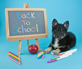 Canvas Print - Back To School!