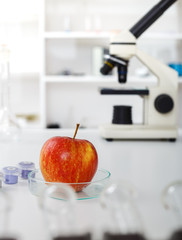 Wall Mural - Chemical Laboratory of the Food supply