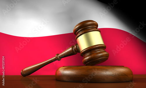 Naklejka - mata magnetyczna na lodówkę Poland Law And Justice Concept