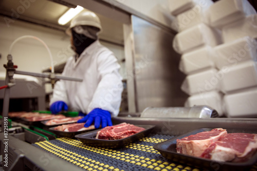 Fotografie, Obraz Meat food handling safety gloves and suit with mask