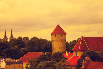 Fototapete - Tallinn, Vanalinn, old city at sunset, Estonia, Europe