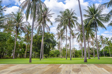 Wall Mural - Wooden terrace with Tropical palm tree under the blue sky in Thailand