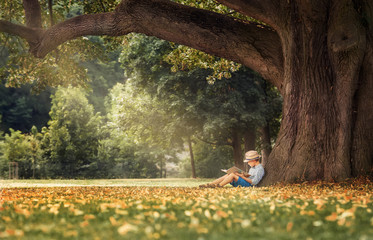 little boy reading a book under big linden tree