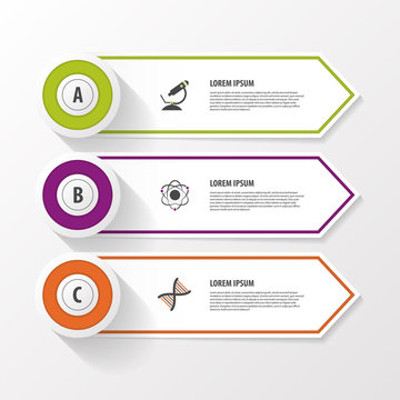 Business step options banner. Vector illustration. Infographics design template