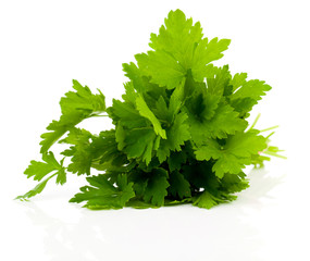 Wall Mural - Fresh parsley on white background