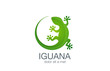 Lizard Logo design vector template. Iguana icon illustration...S