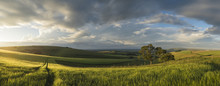 Beautiful Panorama Landscape South Downs Countryside In Summer