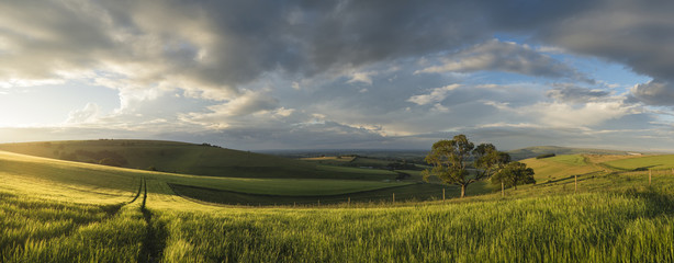 Wall Mural - Beautiful panorama landscape South Downs countryside in Summer