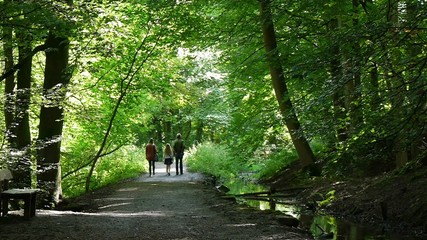 Wall Mural - Skipton, North Yorkshire, United Kingdom. People enjoy walk through Skipton Castle Woods.