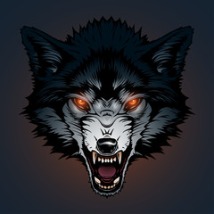 Angry wolf illustration